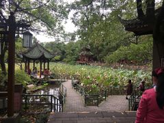 -房湖公园