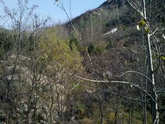 -封龙山风景区