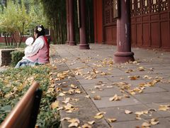 -望江楼公园