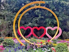 -深圳仙湖植物园