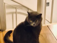 -春笙食堂.丼饭拉面寿司(GOGO新天地店)