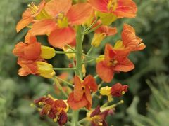 -中国天府农业博览园