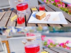 -新元素(蓝色港湾店)