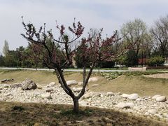 -汉长安城未央宫国家考古遗址公园