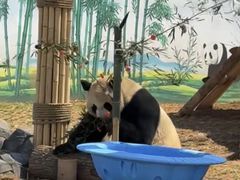 -秦皇岛野生动物园