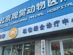 -北京观赏动物医院·24小时大型综合·猫专科·异宠专科