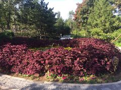 -回龙观体育文化公园