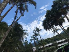 -云顶高原