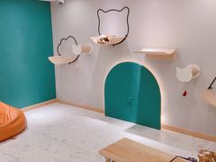 -飞行喵MR PILOT|猫舍·猫咖(静安大融城店)