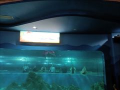 -苏州海洋馆