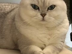 -comecome来吧宠物(奥克斯中心店)