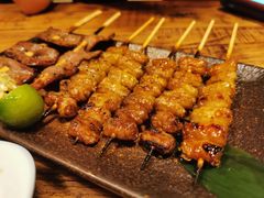-酒窝烧鸟(科华街店)