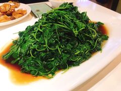 -后宫私房菜(汇客美食娱乐广场店)