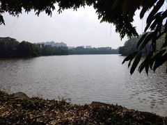 -三水森林公园