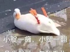 -富力希尔顿酒店·地阔自助餐厅
