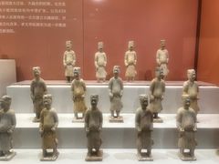 -安阳博物馆