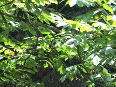 -宁波五龙潭景区