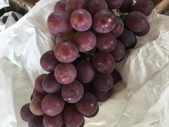 -马陆小张葡萄园农家乐