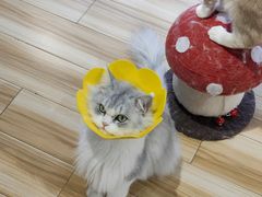 -听TA说宠咖·宠物生活馆(天韵水岸店)