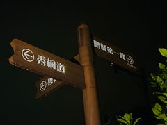 -梧桐山风景名胜区