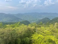 -莫干山风景区