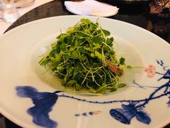 香椿苗拌核桃仁-宛平九号