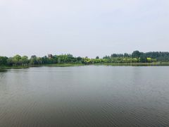 -东郊湿地公园