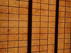 -重庆南山海昌汤都