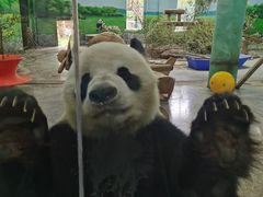 -临沂动植物园