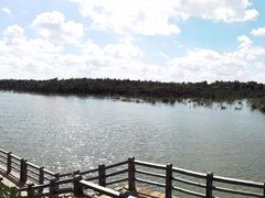 -东寨港红树林旅游区