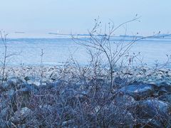 -上海吴淞炮台湾国家湿地公园