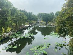 -厦门园林博览苑