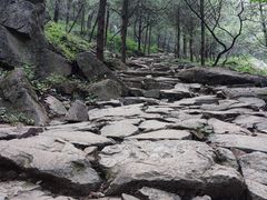 -北京鹫峰国家森林公园