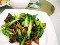 菜心炒鸡杂-金苑海鲜酒家(新港中路店)