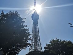 -文华公园(禅城区)