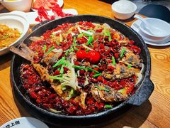 -老板恋上鱼(高新万达店)