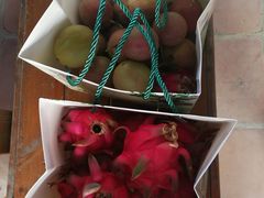 -海堤葡萄园中小学生研学基地