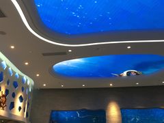 -瑞德姆美人鱼海底演艺主题餐厅(亚龙湾店)