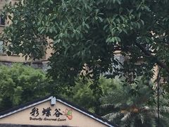 -彩蝶谷美食廊·粤式经典南番顺·铁板烧烤泰风味(广州长隆酒店)
