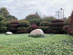 -故乡缘·香格里拉山庄(冷竹路店)
