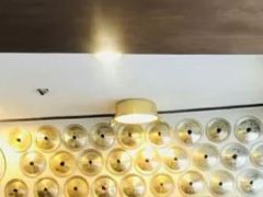 -金北顺大锅家(신사본점)