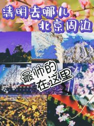 -Oasis Beauty水磨坊科技美肤中心