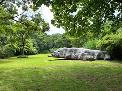 -上海吴淞炮台湾国家湿地公园