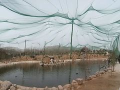 -五龙山野生动物王国