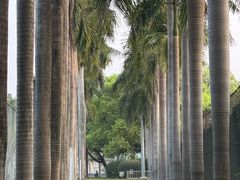 -中山大学广州校区南校园怀士堂