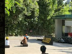 -圣淘沙天际线斜坡滑车