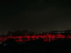 -忆咖啡观景餐厅(桂林象山公园店)