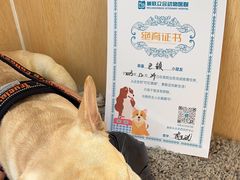 -美联众合动物医院·24h京西诊疗中心