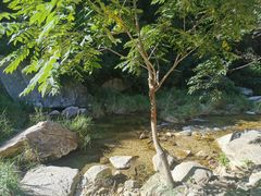 -黑龙潭风景区