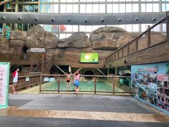 -杭州开元森泊度假乐园